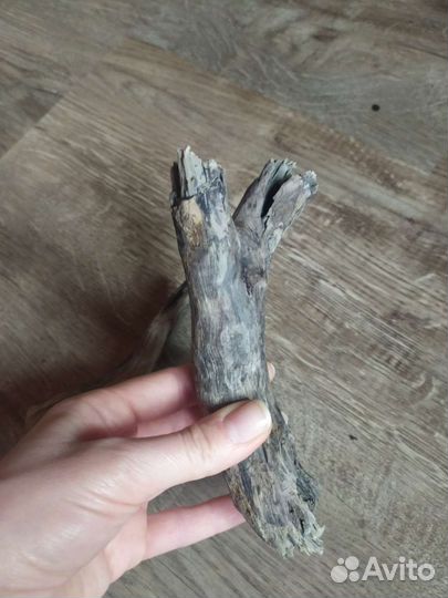 Парочка гусь да гогарочка