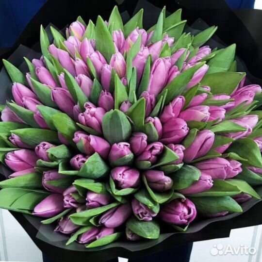 Тюльпаны с беспл. доставкой