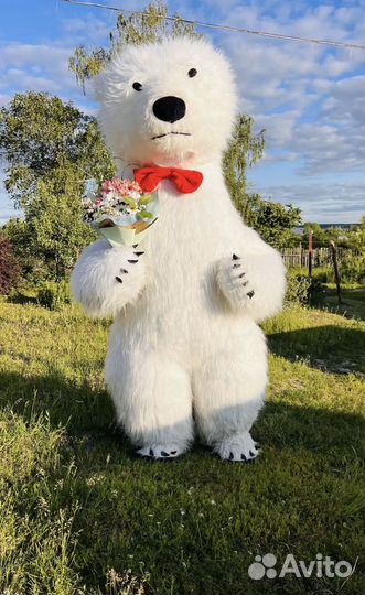 Супер поздравление от Белого Мишки и Чебурашки