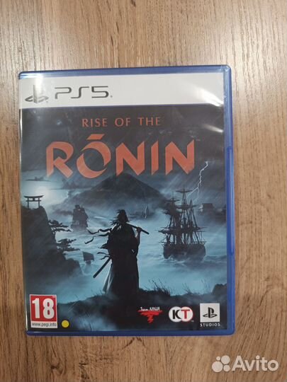 Rise of the ronin