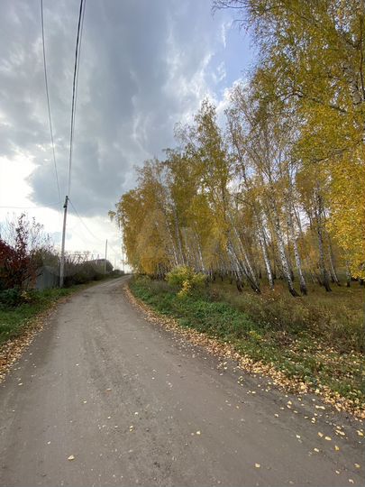 Участок 4,7 сот. (СНТ, ДНП)