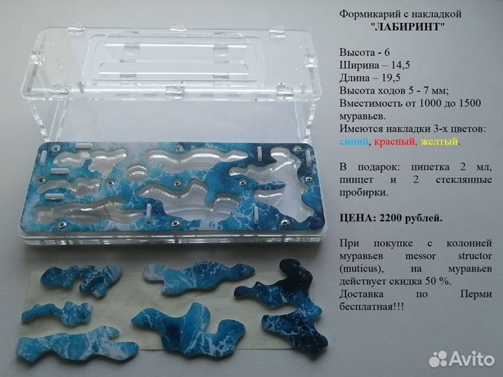 Формикарий, муравьиный дом