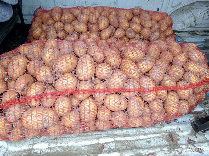 Продукты питания