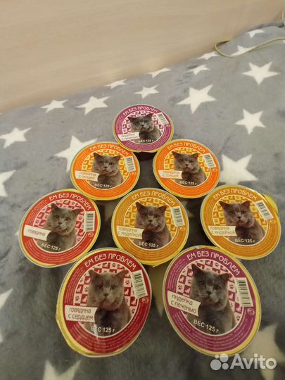 Все для кошек