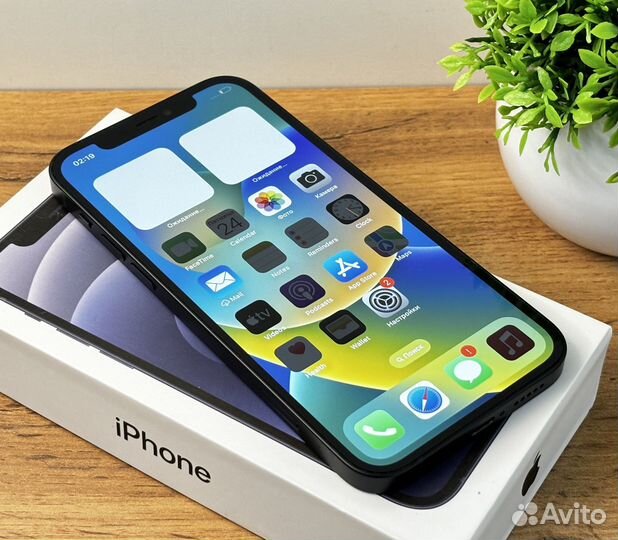 iPhone 12, 256 ГБ