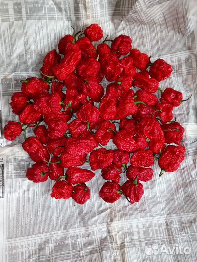 Свежие острые перцы