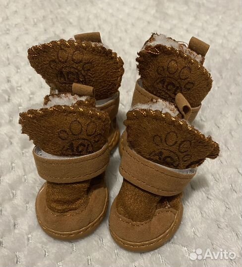 Обувь для маленьких собак