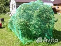 Сетка от птиц