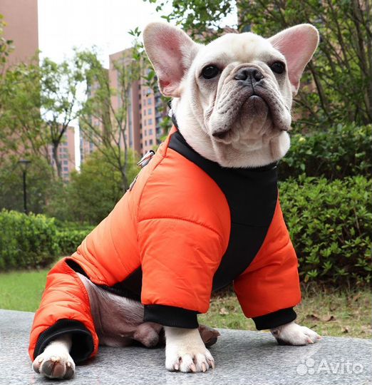 Зимняя одежда для собак 40см
