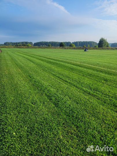 Рулонный газон