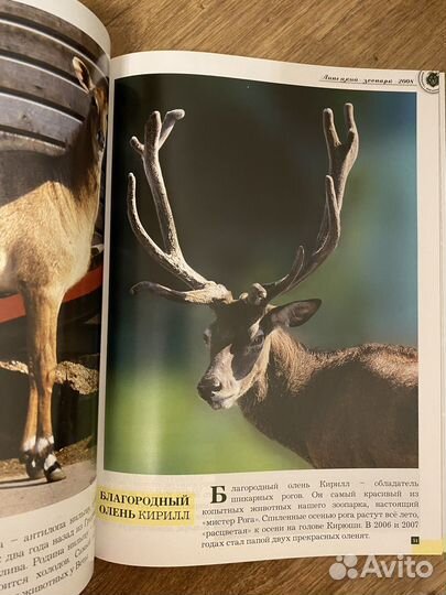 Книга липецкий зоопарк