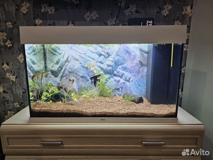 Немецкий аквариум juwel RIO 125 LED б/у