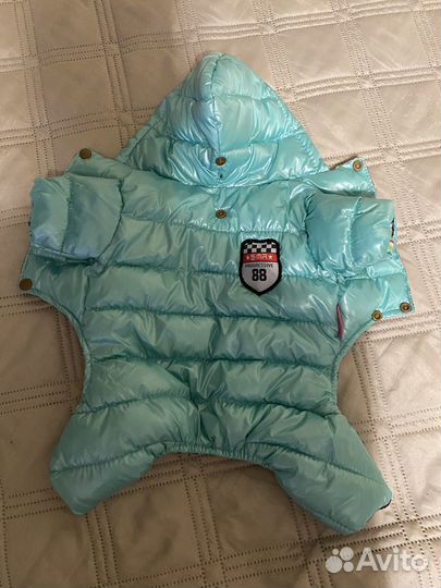 Комбинезон для собаки