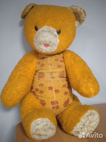 Медведь рыжий. СССР