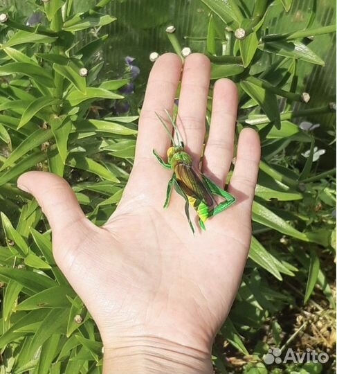 Приманка на белого хищника