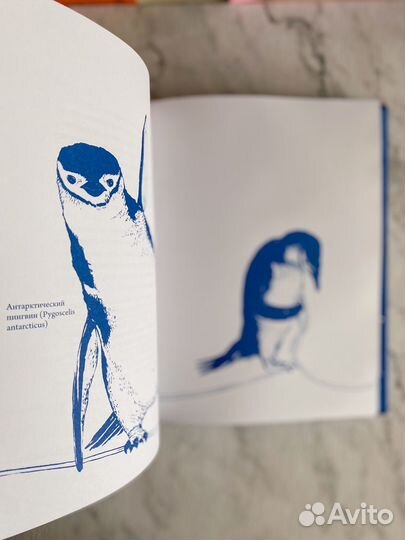 Детская книга про воду