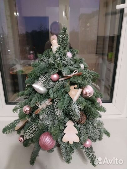 Елка из натурального нобилиса