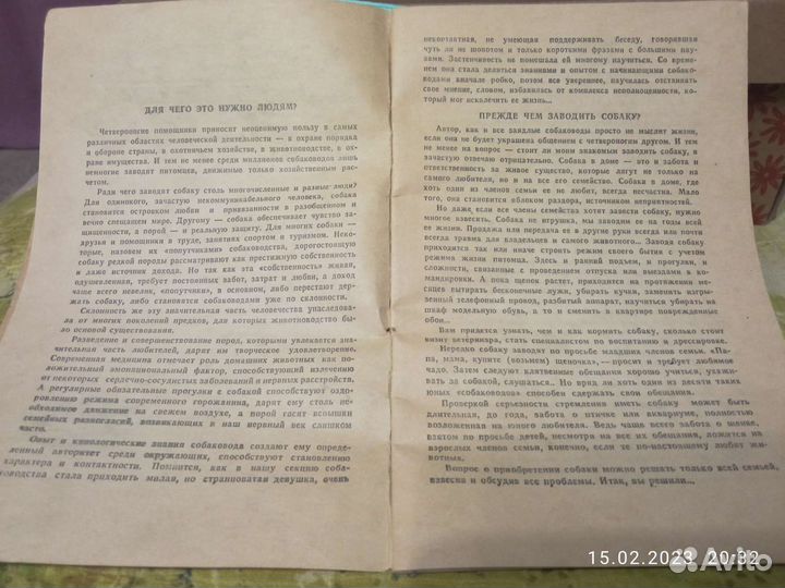 Щенок в вашем доме