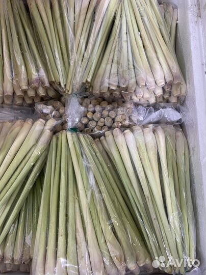 Лемонграсс