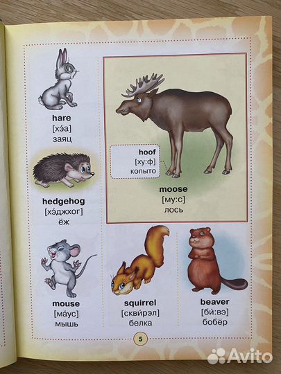 Англо русский визуальный словарь