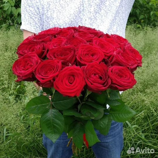 Розы 25 штук