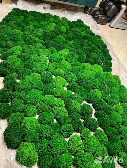 Натуральный стабилизированный мох для декора