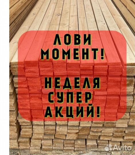 Лес с доставкой