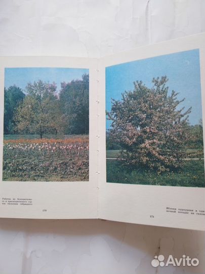 Книги о растениях и цветах СССР