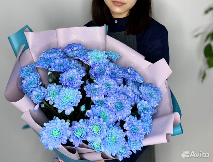 Букет из синих хризантем с доставкой в Анапе