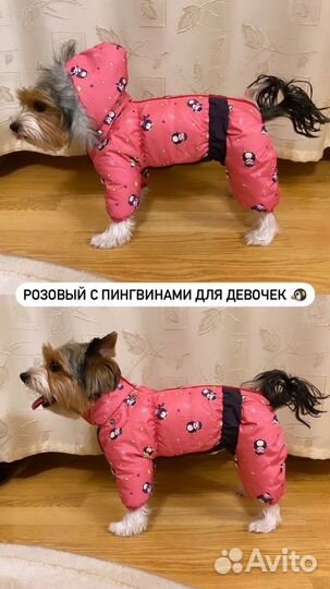 Новый комбинезон зимний для собак мелких пород