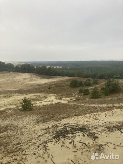 Экскурсии на Куршскую косу