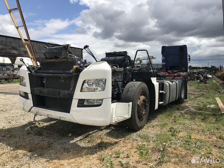 Ноускат Man TGX