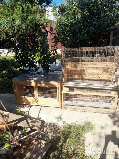 Инкубатор для яиц