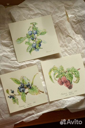 Картина акварель. Автор Евсеенок Любовь