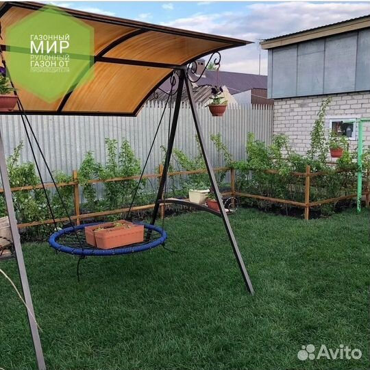 Рулонный газон