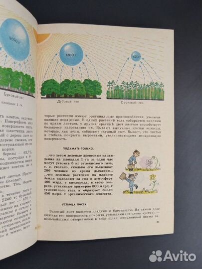 Д. И. Трайтак. Книга для чтения по ботанике