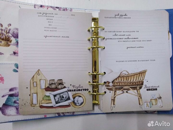 Ежедневник (планер, бебибук) для мальчика