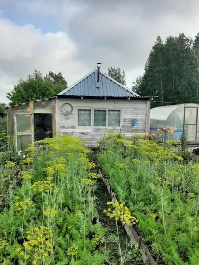 Дом 60 м² на участке 12 сот.