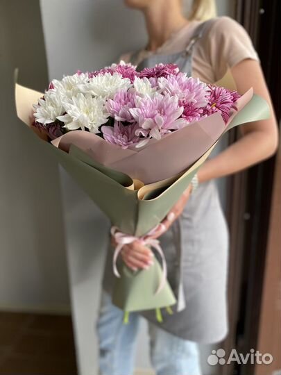 Растения, букет хризантемы, хризантема кустовая