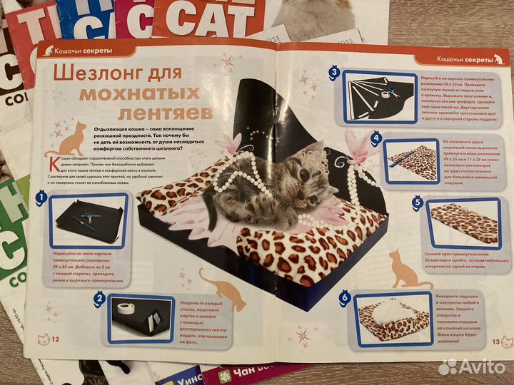 Журналы The cat