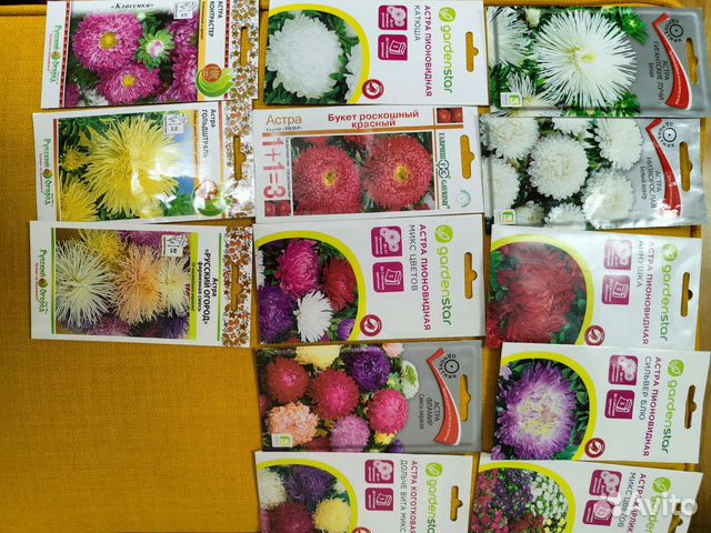 Семена астра