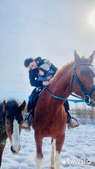 Прокат на лошади