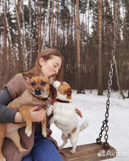 Услуги кинолога (система без наказаний)