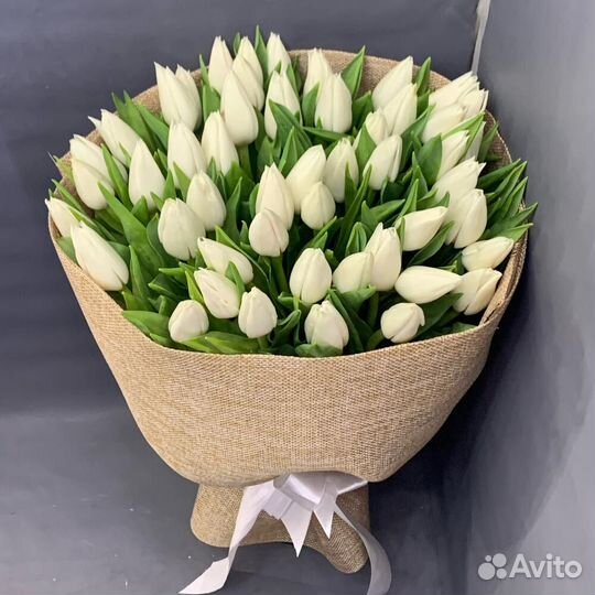 Тюльпаны букет 25 51 101 тюльпан