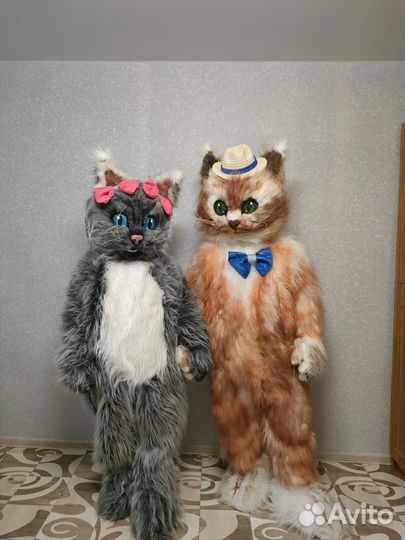 Аниматоры / Котики на праздник, выписку, др