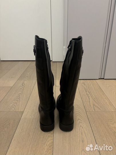 Сапоги Zecchino d'oro 39