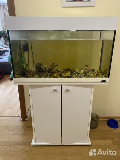 Аквариум Ferplast Dubai 180л