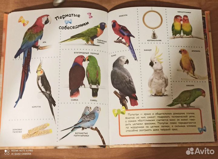 Книги для малышей