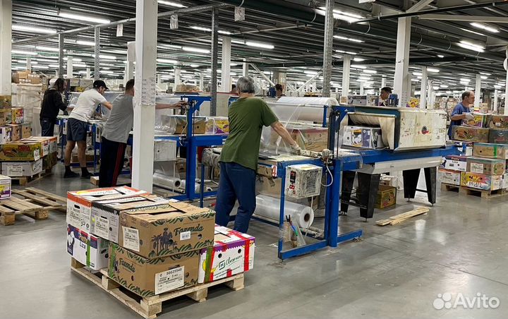 Подработка На Книжном Складе С Ежедневной Оплатой