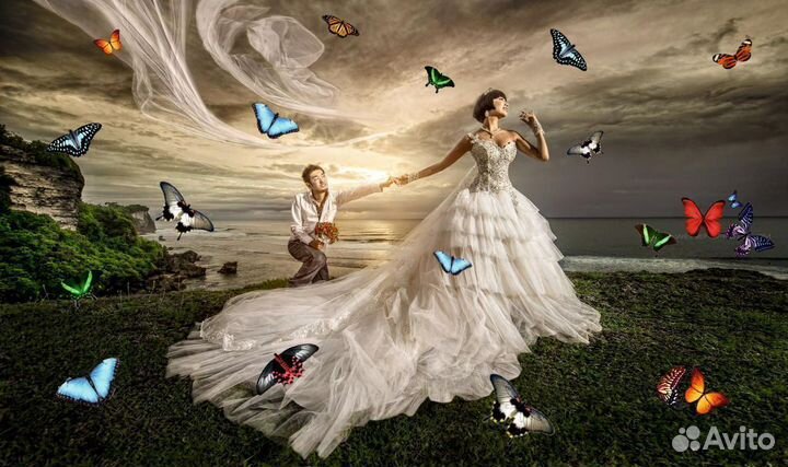 Салют из 20 Живых Тропических Бабочек с/б-29